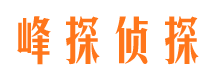 莲都市私家侦探